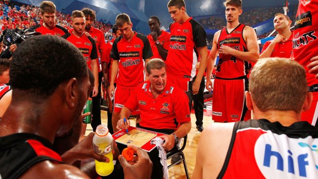 Looking north: The Perth Wildcats could be Asia-bound in the winter if CEO Nick Marvin gets his way.