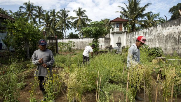 The IDEP Foundation sells produce from the prison garden to restaurants including Ubud Deli, Bali Buda, Pizza Bagus and Alchemy.