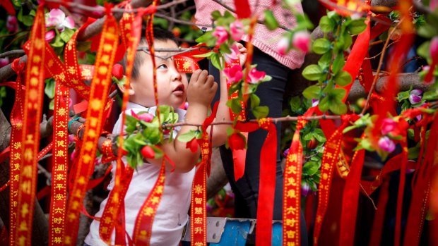 Longfei Che, 3, hangs a ribbon on the wish tree at the Bright Moon Buddhist Temple in Springvale South during Lunar New Year celebrations.