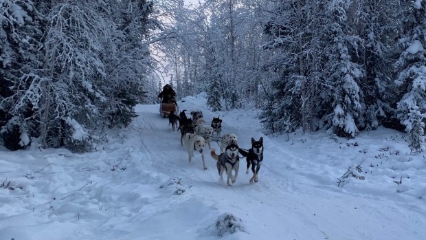During the day, Aurora Village operates several snow activities like dogsled rides.