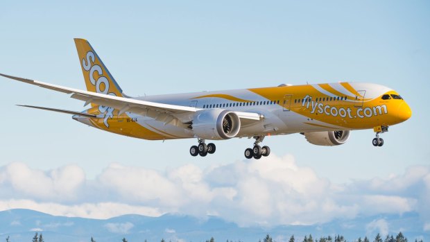 Low-cost airline Scoot is owned by Singapore Airlines.