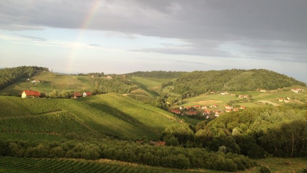Weingut Kogl vineyards, near Graz.