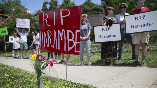 Animal rights activists and mourners gather for a Memorial Day vigil outside the Cincinnati Zoo.