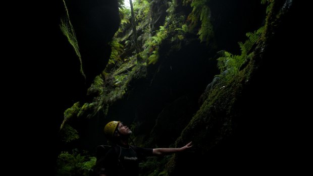 Looking up: David Noble inside the rehabilitated Hat Hill Creek Canyon.