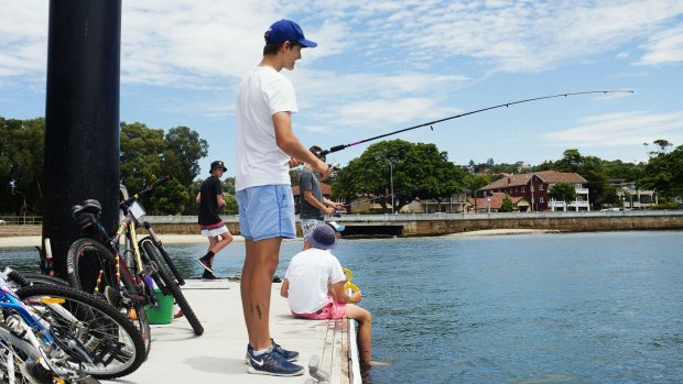 Tommy Scribner fishing on the jetty at Rose Bay with his mates.