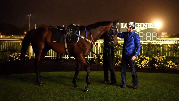 With the champ: Hugh Bowman pats Winx after trackwork.