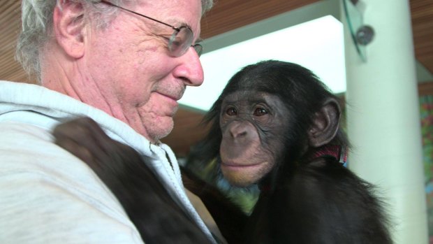 Professor Steven Wise Steven Wise, president of the Nonhuman Rights Project, with Teco the bonobo from the Iowa Primate Learning Centre/Bonobo Hope in a scene from the HBO film <em>Unlocking the Cage</em>.
