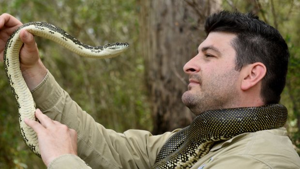 Sydney snake catcher Harley Jones with a diamond python.