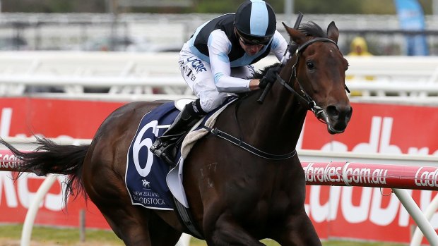 Stephen Baster rides Pinot to victory on Caulfield Cup day.