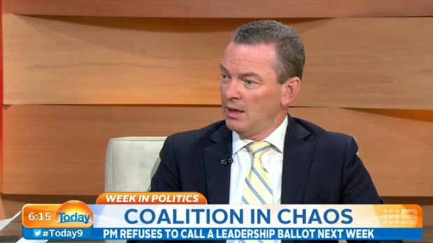 Christopher Pyne on the Nine Network earlier on Friday.