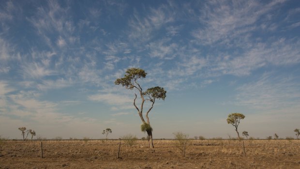 The Fraser Coast region had the lowest rainfall in its recorded history over the past 12 months, with farmers struggling to cope with the drought which grips nearly 90 per cent of Queensland.