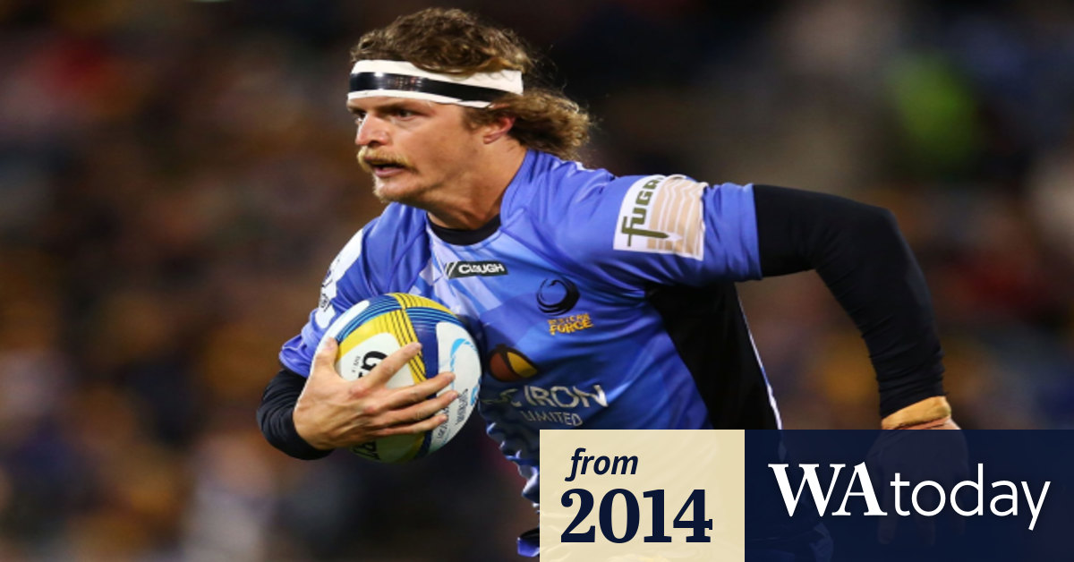 Rugby World Cup dream alive again for 'Honey Badger' Nick ...
