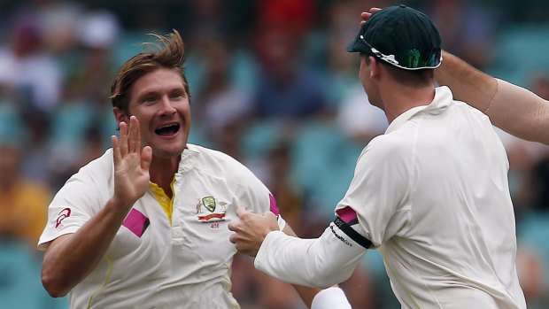 High five: Australia's Shane Watson took home $4.5 million in 2014.