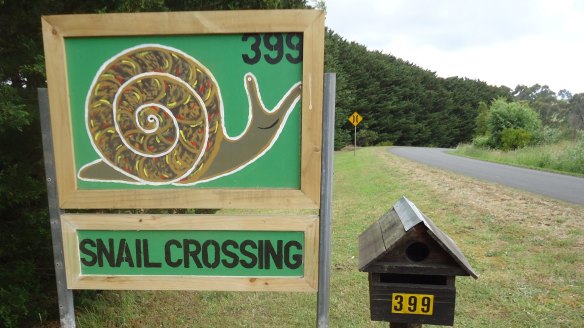 Simpson Snails, home to 20,000 free-range snails.