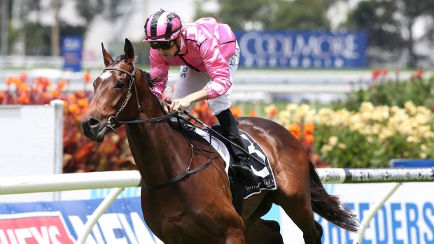 What a story: Gary Nickson's star Voilier is in action on Saturday.