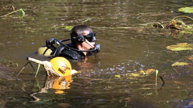 Divers from Queensland Police and the Australian Defence Force searched the Deagon Wetlands in April.