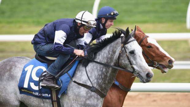 Damien Oliver riding Fawkner and Damian Lane riding Observational at Caulfield racecource.