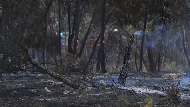 Burnt out land in Carrum Downs on Saturday.