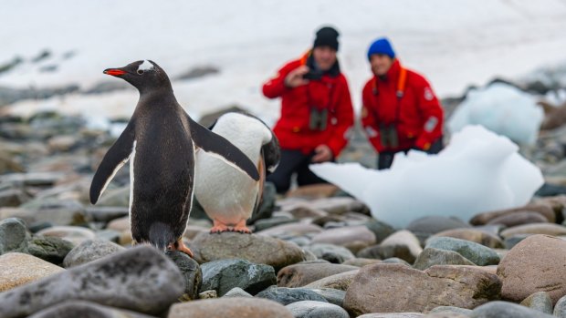 Meeting the curious locals.