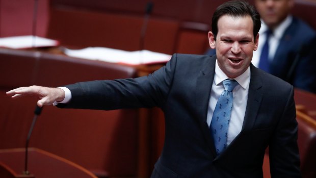 Senator Matt Canavan is considered frontrunner to replace Fiona Nash if the deputy leadership goes to a vote this week.