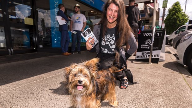 Nina Lenk was the Animal Justice Party candidate in the Northcote by-election.  