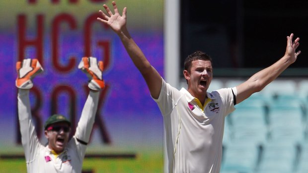 Australia's Josh Hazlewood (R) and team mate Brad Haddin appeal successfully for the wicket of Wriddhiman Saha for 35.