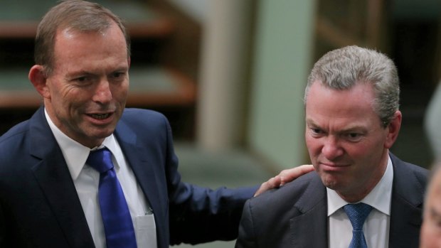 Former prime minister Tony Abbott and Minister for Defence Industry Christopher Pyne at Parliament House last month.