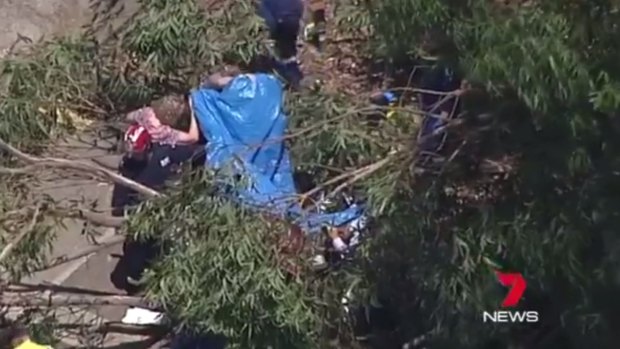 Teachers and emergency workers attend to a student hit by a tree branch at Heathcote High School.