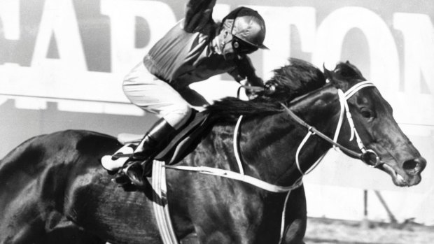Champion: Mal Johnston wins the 1980 Cox Plate on Kingston Town.