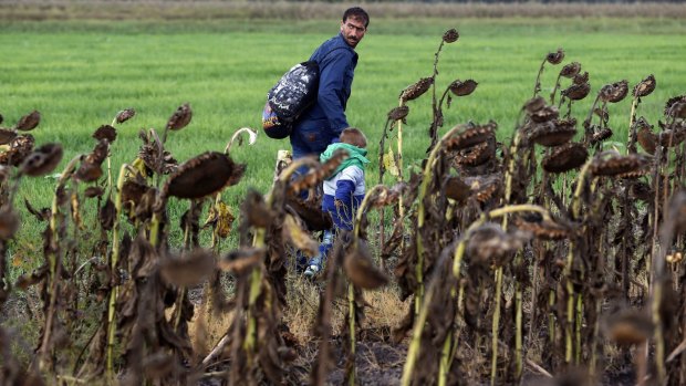 A man walks with a child through a field behind the border line between Serbia and Hungary in Roszke, southern Hungary in Roszke. Migrants are heading through Croatia to get to Western Europe.