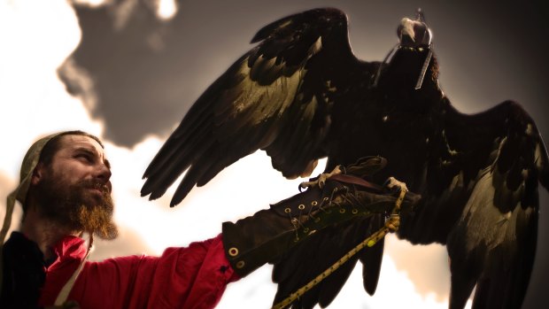 Bird of Prey handler Paul-Michael Donovan with eagle Sabrina at the 2012 Ironfest in Lithgow.