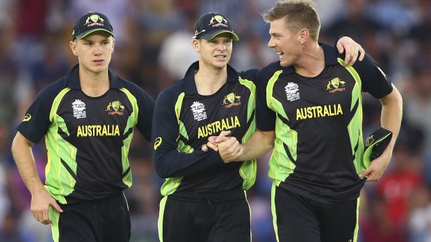 Price to pay: Cricket Australia's decision to prioritise Test cricket hurt Steve Smith's men in the World T20 tournament.