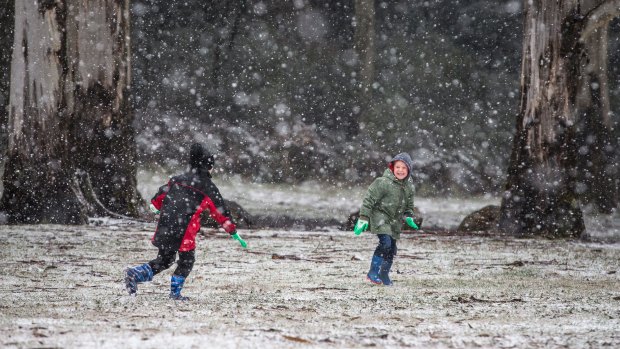 Jamie and Ryan Haworth, ages 6 and 4, playing as snow is falling at Day's Picnic Area, Mt Macedon, on Monday.