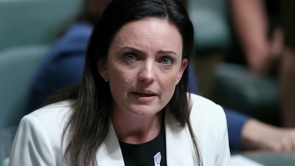 Labor MP Emma Husar speaks about her personal experience with family violence.