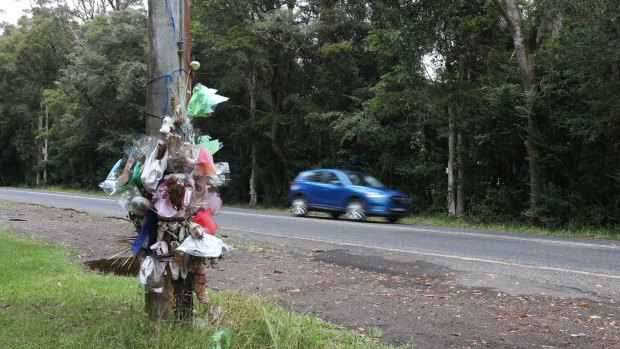 The telegraph pole where the car carrying five friends crashed, killing Jackson Williams, 17.