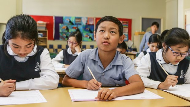 NSW students will receive their NAPLAN results from today. 

