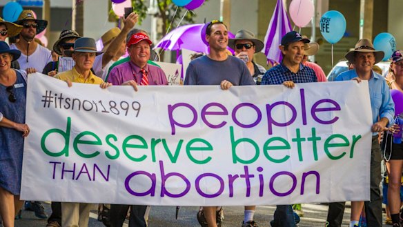 One Nation Senator Malcolm Roberts, Labor MP Rick Williams (two left) and LNP MPs Mark Robinson and Christian Rowan (right) led the march.