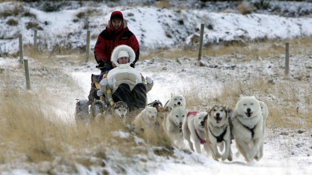 Huskies pulling a sleigh. 