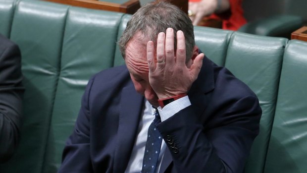 Deputy Prime Minister Barnaby Joyce has been revealed to be a New Zealand citizen.