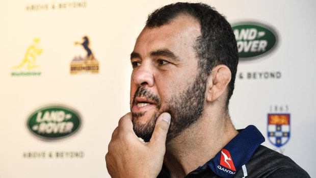 Top dog: Wallabies coach Michael Cheika.