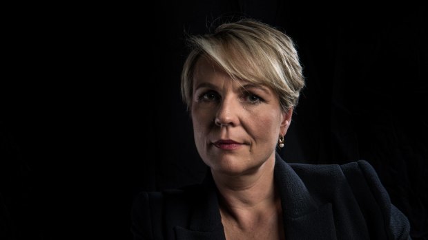 Tanya Plibersek says the young people who featured in the Four Corners report have been failed by the political class.