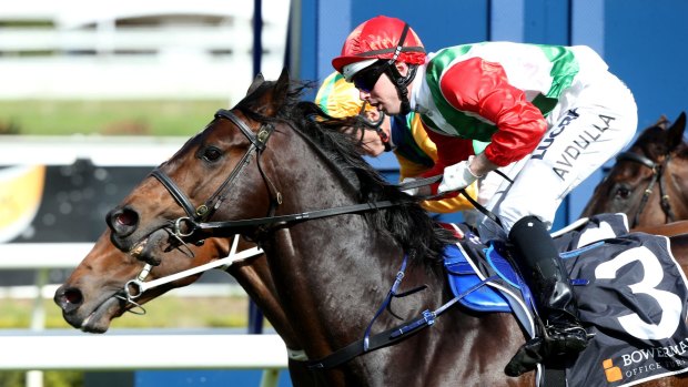 Rebel with applause: Brenton Avdulla and Rebel Dane sneak home to win The Shorts at Randwick.