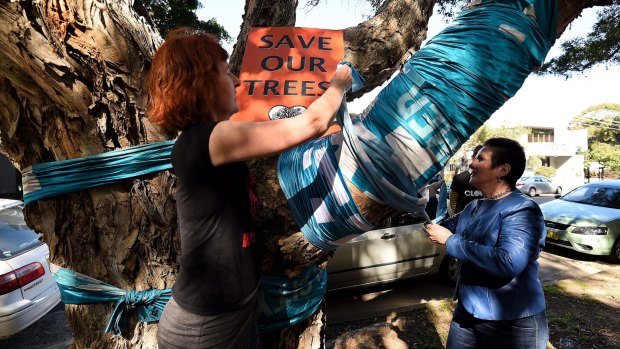 Janet Dandy-Ward (left) from WestConnex Action Group and Sydney lord mayor Clover Moore (right) wrap a blue sash around a  tree at Sydney Park marked for destruction to make way WestConnex.