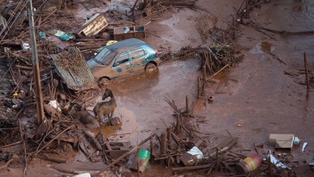 19 people were killed in the Samarco disaster.