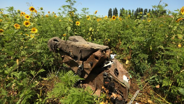 Wreckage of the MH17 in a field in eastern Ukraine.