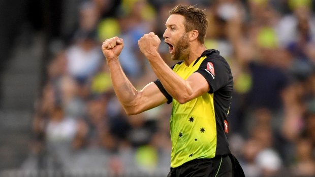 Andrew Tye celebrates taking the wicket of England's James Vince.