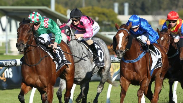 First Sydney winner:  Hard To Hold scored well at Rosehill on Saturday.