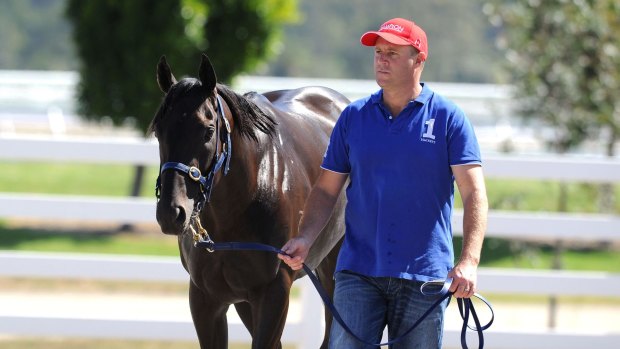 Under scrutiny: Trainer Danny O'Brien is caught up in the cobalt scandal.