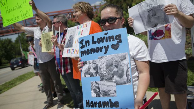 Kate Villanueva of Erlanger, Kentucky holds a sign during a vigil outside the Cincinnati Zoo.