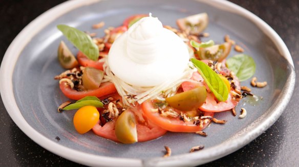 Burrata on a bed of beefsteak tomatoes, puffed rice, Thai basil and fish sauce.